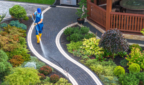 Best Concrete Pressure Washing  in Swedesboro, NJ