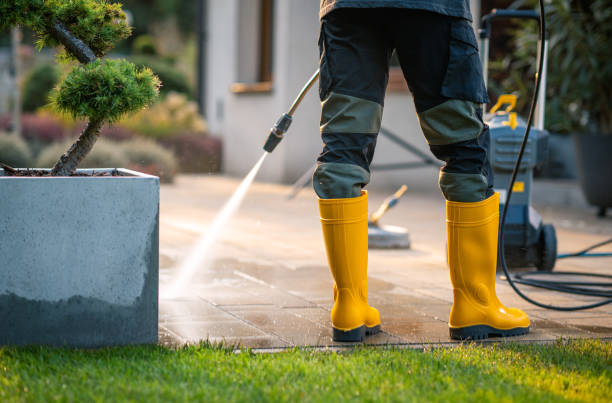 Best Concrete Pressure Washing  in Swedesboro, NJ